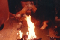 dt-6